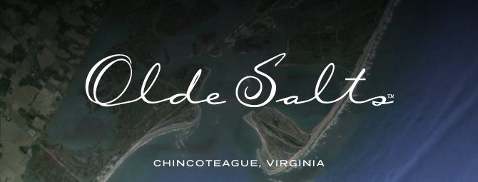 Olde Salt Oysters™ (briny)