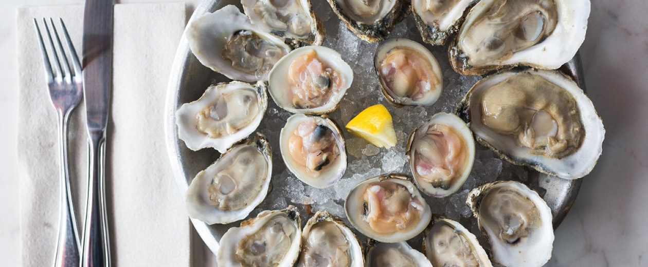 Specials - O'Brien's Oyster Bar & Seafood Tavern Oyster Bar Restaurant