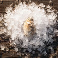 Rappahannock River Oysters®  (sweet)