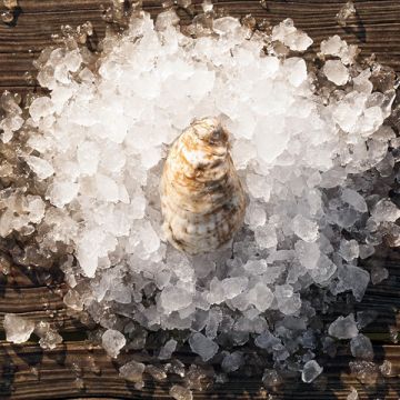 Rappahannock River Oysters®  (sweet)