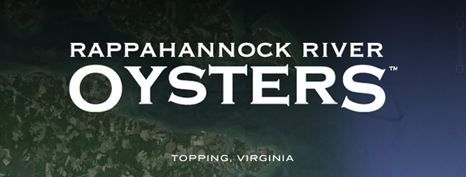 Rappahannock River Oysters, Topping, Virginia
